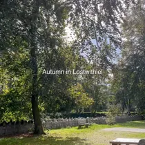 Autumn has arrived in Lostwithiel 🍂